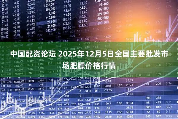 中国配资论坛 2025年12月5日全国主要批发市场肥膘价格行情