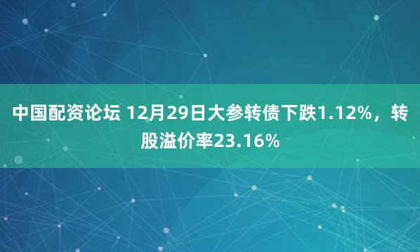 中国配资论坛 12月29日大参转债下跌1.12%，转股溢价率23.16%